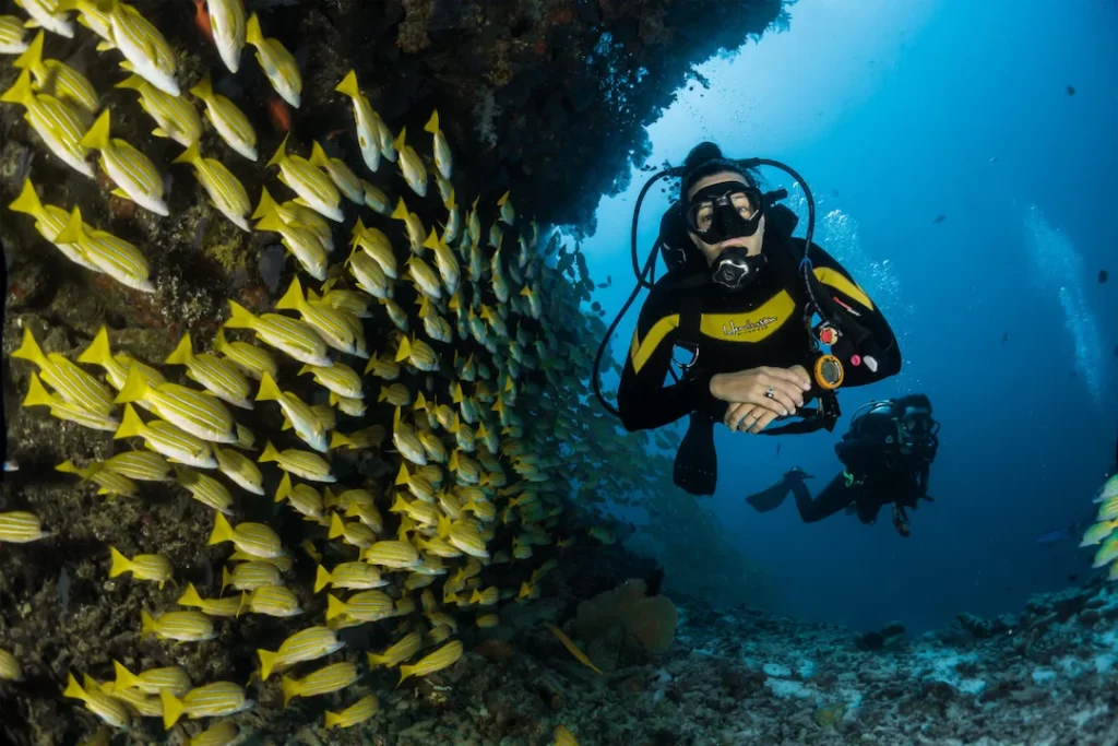 Scuba-Diving-in-Andaman-Best-Time-Cost